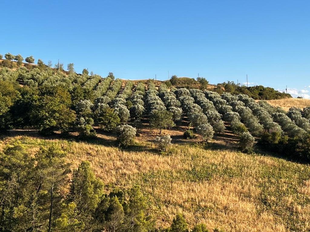Antica Colombaia Apartman Volterra Kültér fotó